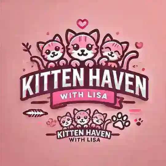 🥰Kitten Haven with Lisa💋🐈