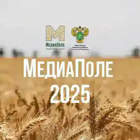 МедиаПоле