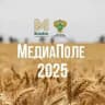 МедиаПоле