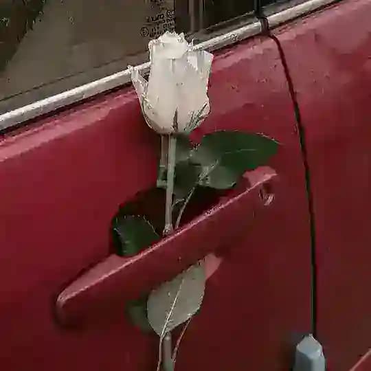красные запчасти