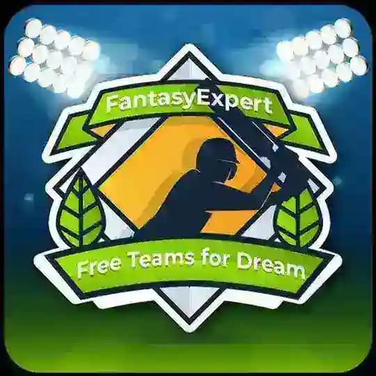 Fantasy 11 expert