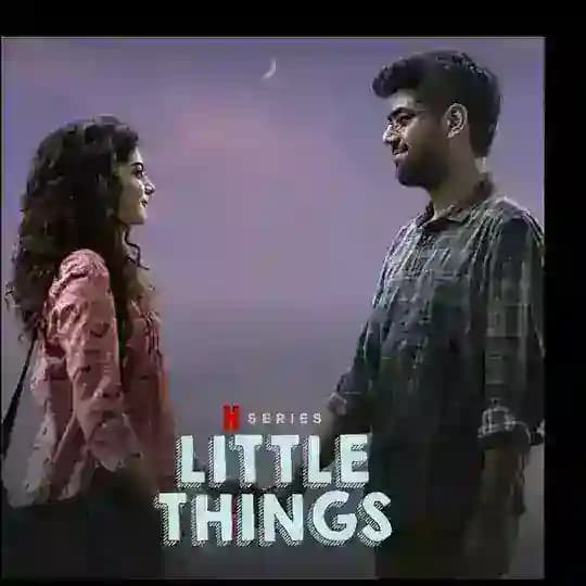 Little Things 4 Netflix