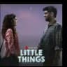 Little Things 4 Netflix