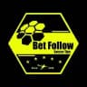 Bet Signals