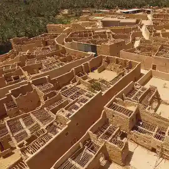 المدرسة الحنبلية النجدية