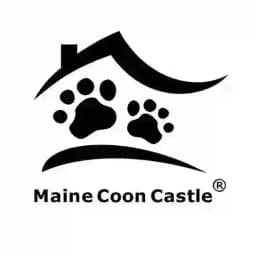 Maine Coon Castle Profile
