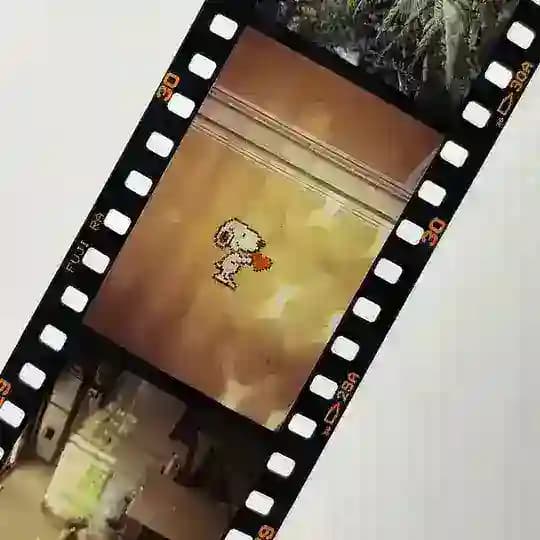 Фотограф Максим Наземцев