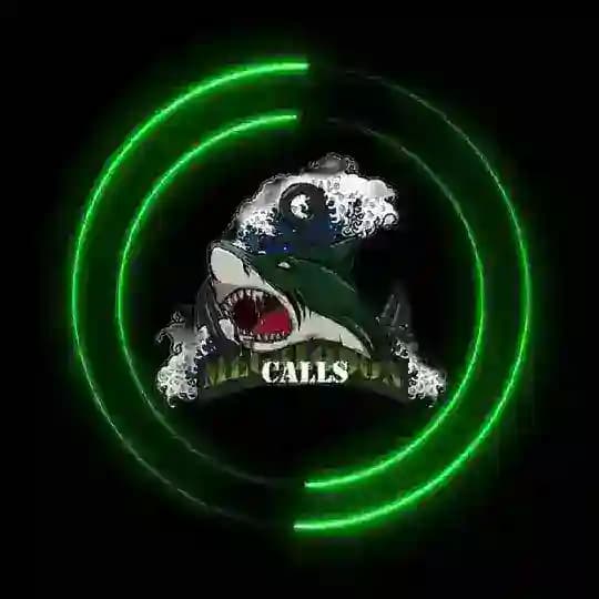 🐬MEGALODONS CALLS🐬