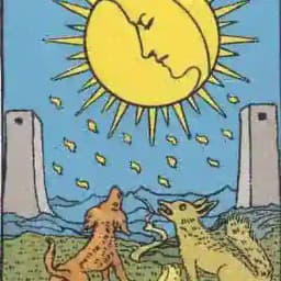 Метафизический дневник наблюдений над природой Profile