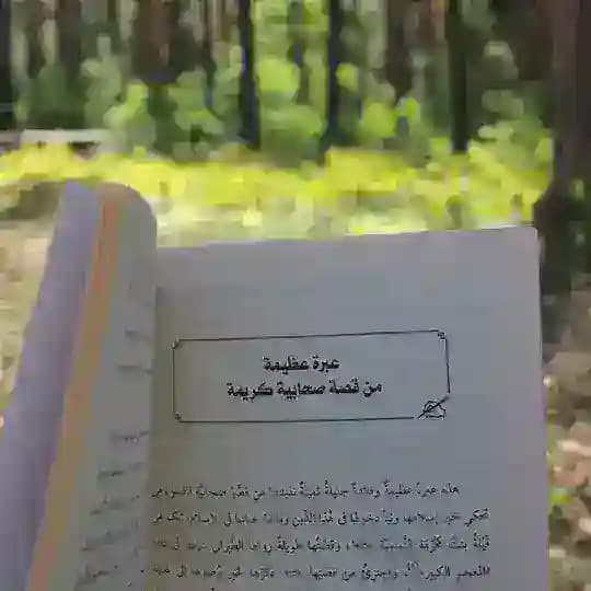 сад знаний