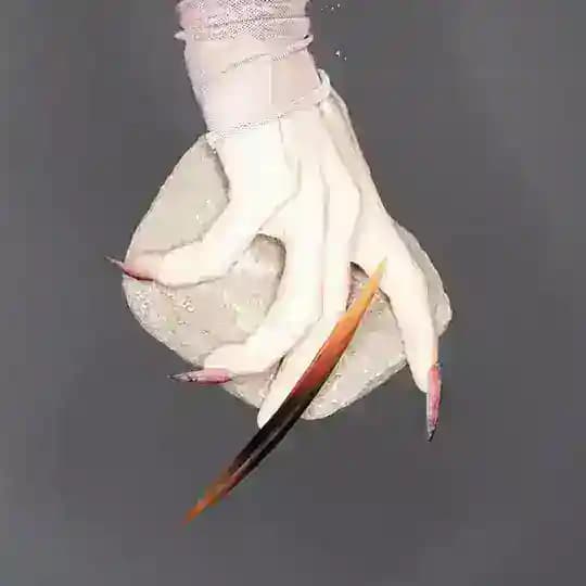 NAILDOSE 2.0
