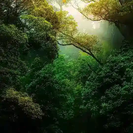Nature Landscape Animal Photography Videos - TikTok Backup by AppleEditing [Mountains / Glaciers / Oceans / Switzerland]