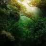 Nature Landscape Animal Photography Videos - TikTok Backup by AppleEditing [Mountains / Glaciers / Oceans / Switzerland]