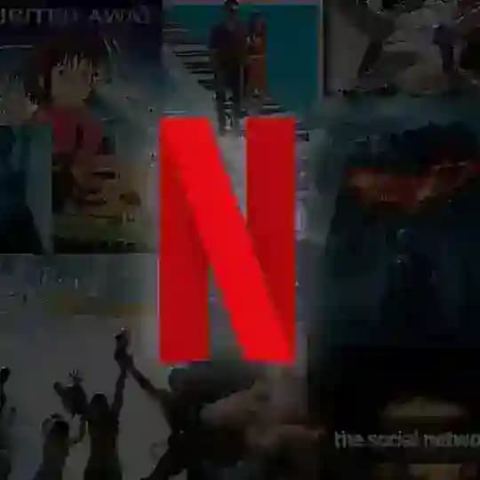 Netflix Movie Hunter