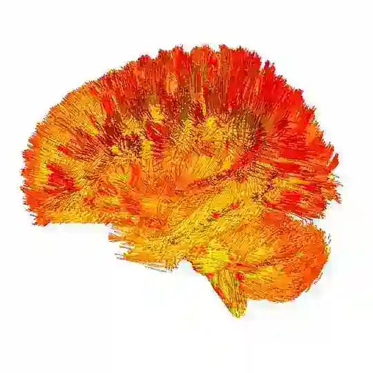 Neuroscience news