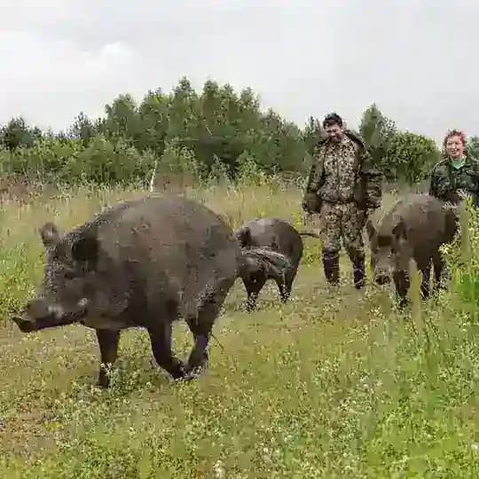 Вепревы Дети🐗🐗🐗