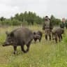Вепревы Дети🐗🐗🐗