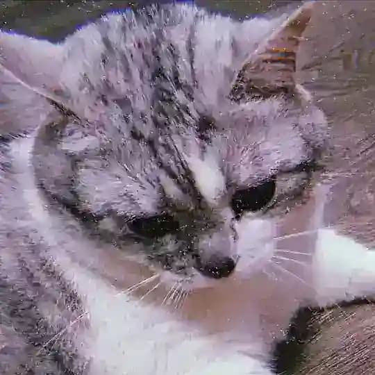 Бумер (снова жирный)