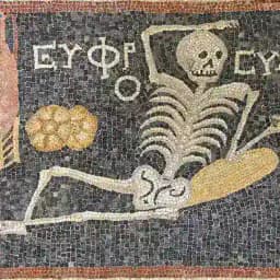 varia arcula nugas Profile