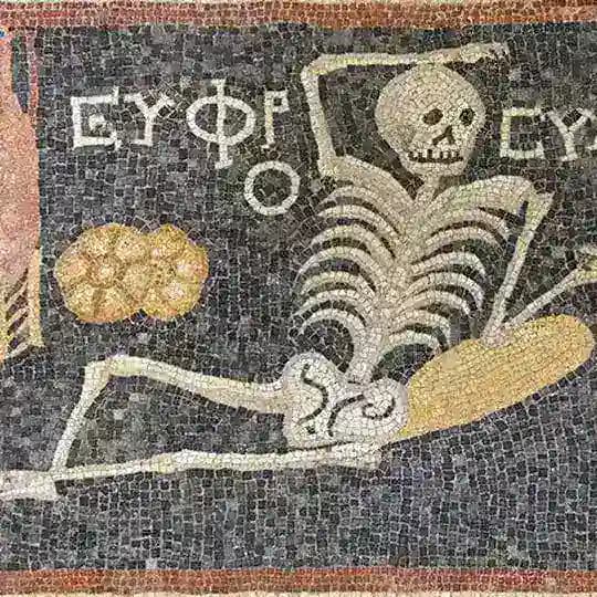 varia arcula nugas Profile