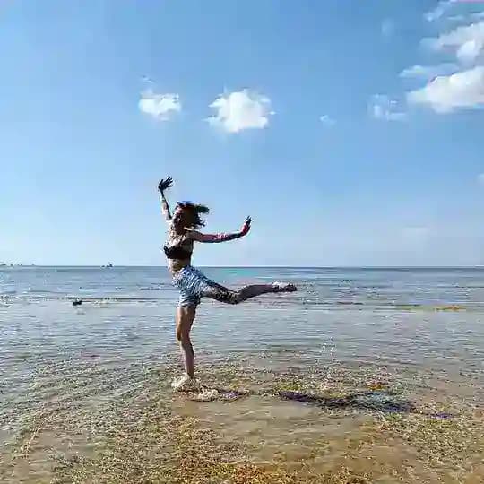 Хроники бешеной собаки
