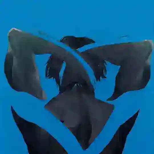 Nightwing