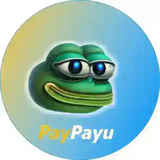 PAYU COIN