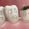 Periodont and periodontitis