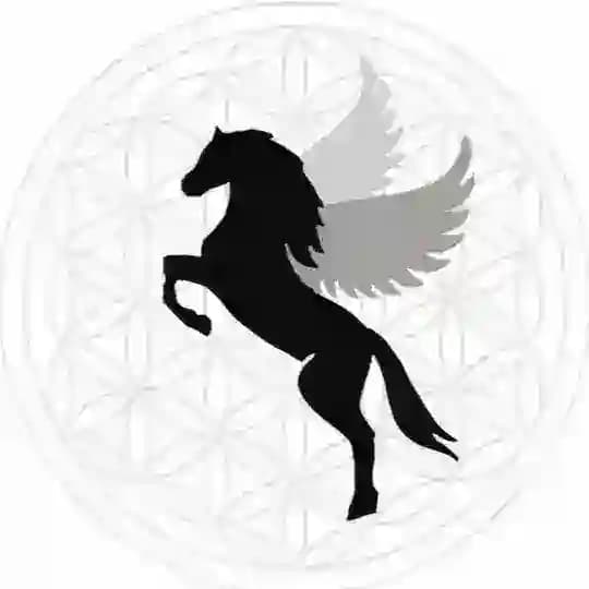 "PferdePuls" der Ursprung wurde zur Quelle ❤️ Jeanette Erath ❤️ www.pferdepuls.de ❤️