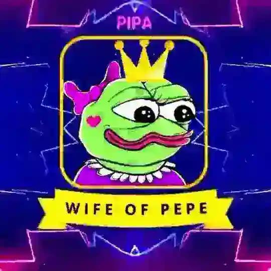 Pipa Coin 🐸 | Wife Of Pepe 💎 x1000 Presale