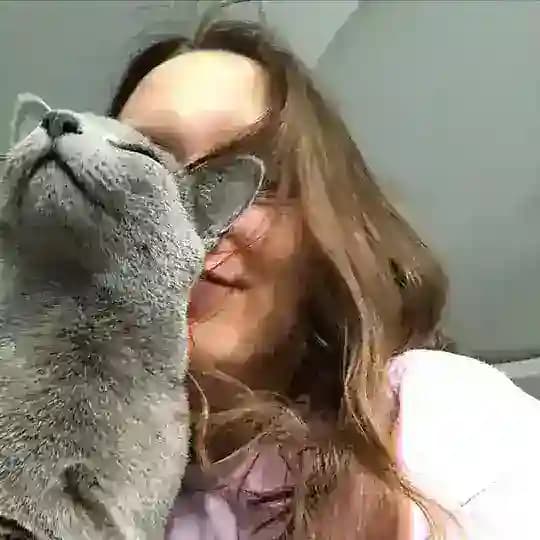 Королешутова