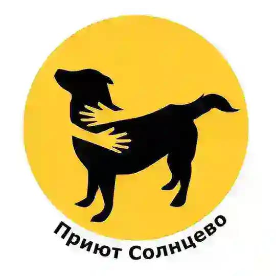 ☀️ Приют СОЛНЦЕВО ☀️
