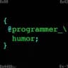 Programmer Humor