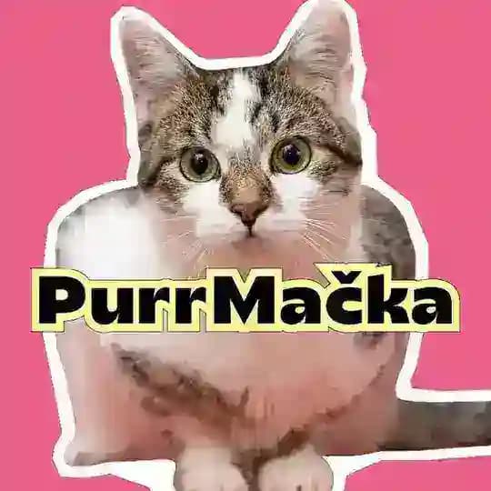 PurrMačka