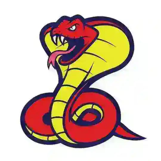 Python работа