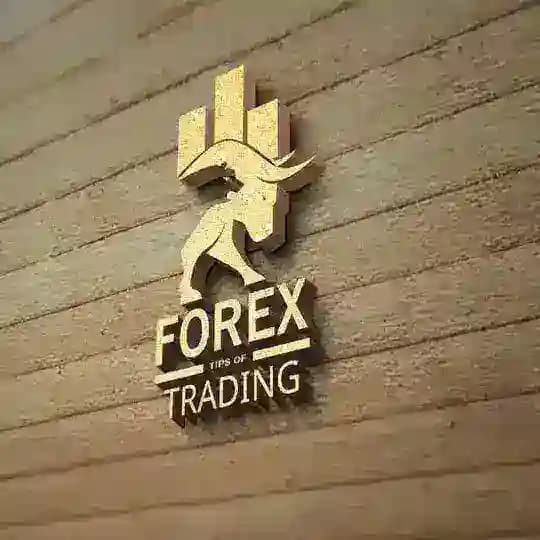 FOREX T OF TRADING π¦