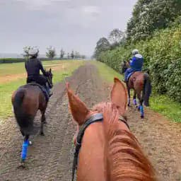 Quantum Tipping FREE💎 Profile