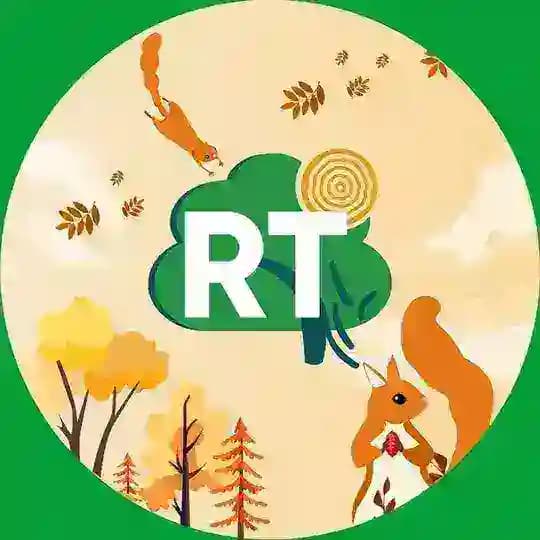 RBXTREE.IO | Купить Робуксы