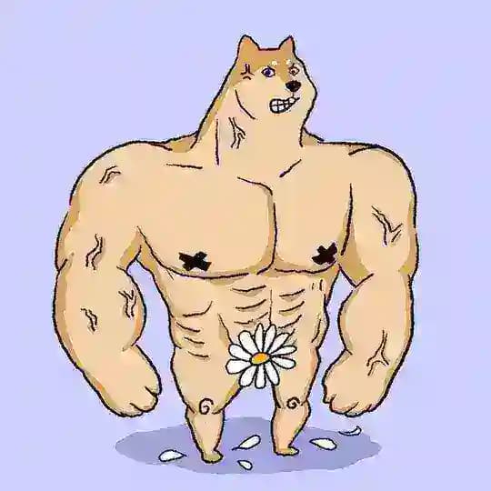 Hachi the Dog Channel