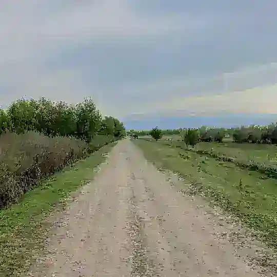 Крива дорога в Дублин