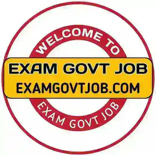 Exam Govt Job Profile