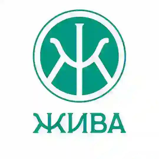 Без таблеток | ЖИВА НатуроПрактика | А.Н.Русинов Profile