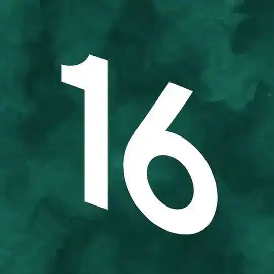 Шмит16 гид