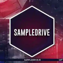 SampleDrive (Updates) 2.0 Profile