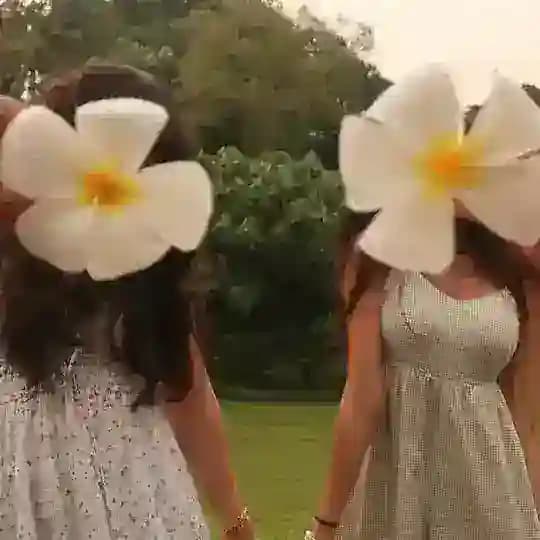 socks and undies Profile