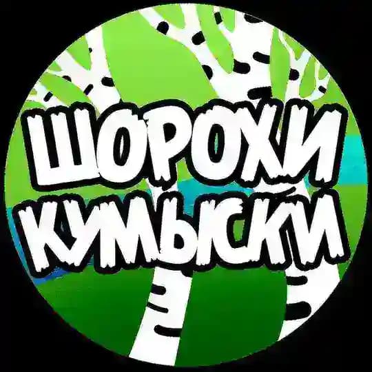 Шорохи Кумыски
