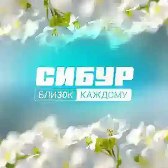 СИБУР Нижнекамск - Нижнекамскнефтехим