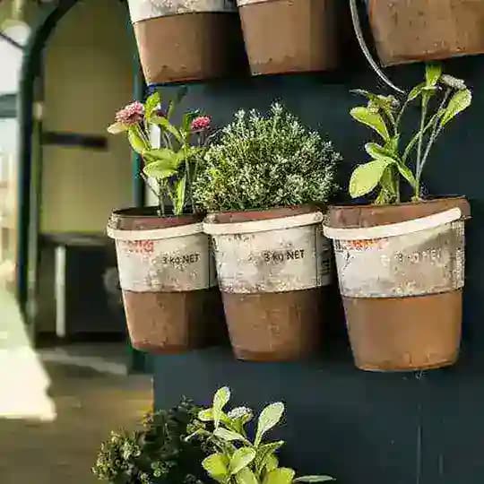 Smart Gardening Ideas