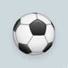 Fixed Matches