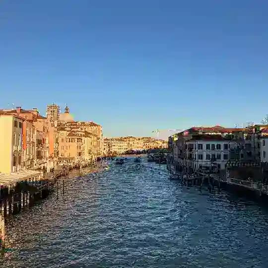 the lion, the witch and my wardrobe Profile